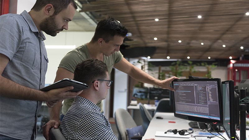 All-around Software Developers for Versatile Challenges