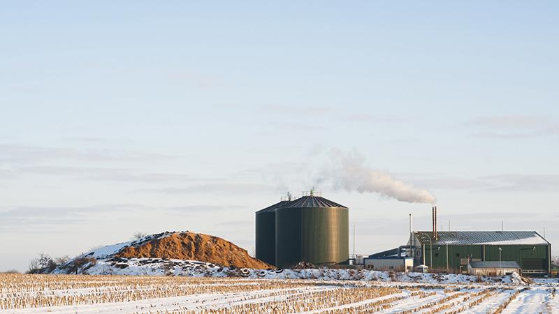 Biogas plant