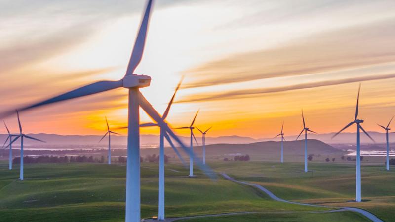 Optimizing wind farm performance with WindCube nacelle-mounted lidar