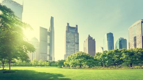 Green city view