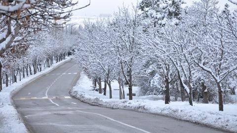 Winter road