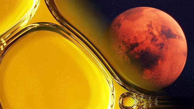 Depths-of-space-to-your-transformer