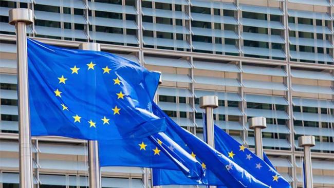 EU flags