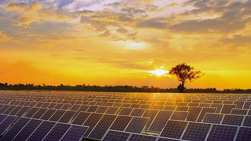 Solar panels with sunrise
